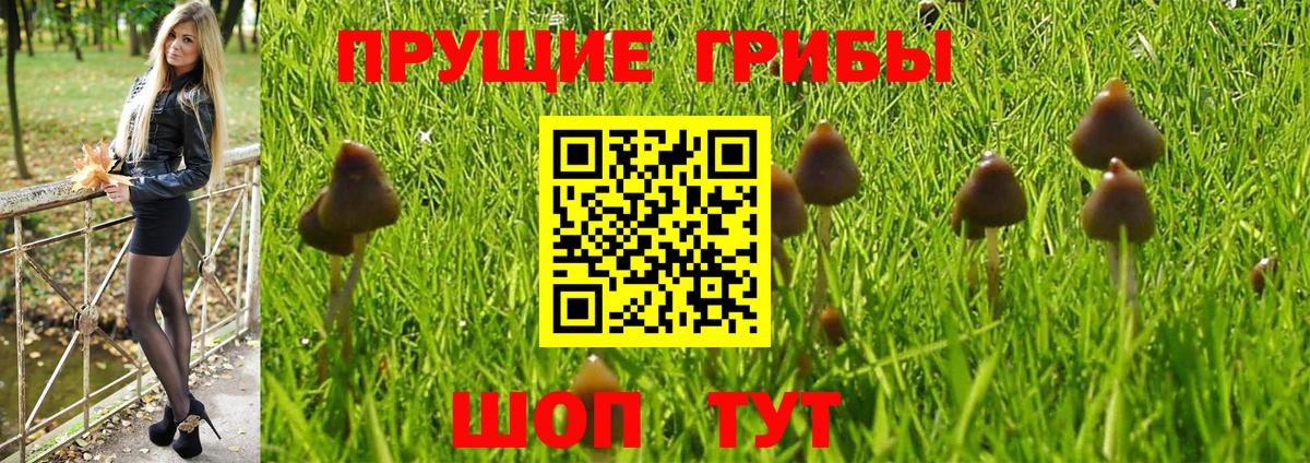 Галлюциногенные грибы мицелий Волоколамск