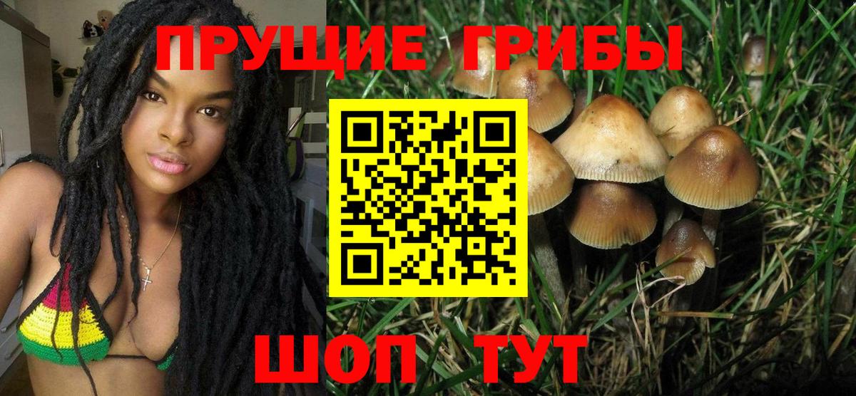 Галлюциногенные грибы Psilocybe  Вход с VPN  Волоколамск 